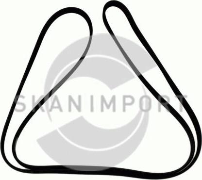 SKANIMPORT 5KK1355 - Courroie trapézoïdale à nervures droxauto.com