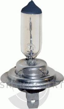 SKANIMPORT GL H7 - Ampoule, projecteur principal droxauto.com
