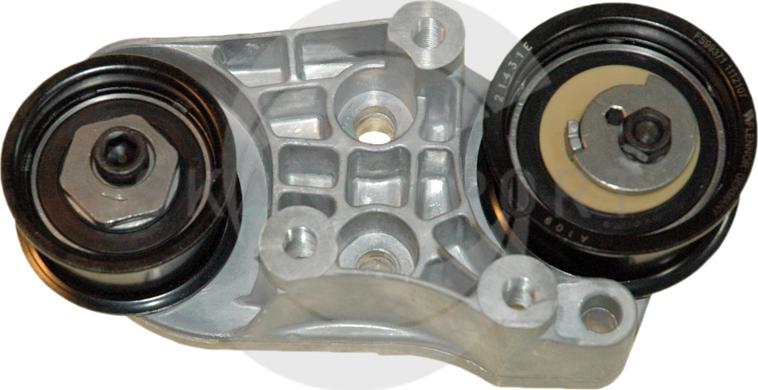 SKANIMPORT RSP 9772 - Tendeur de courroie, courroie de distribution droxauto.com