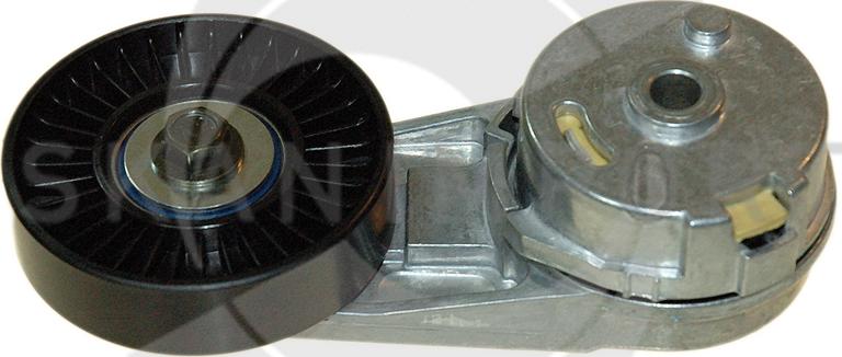 SKANIMPORT RSP 0296SK - Tendeur de courroie, courroie trapézoïdale à nervures droxauto.com