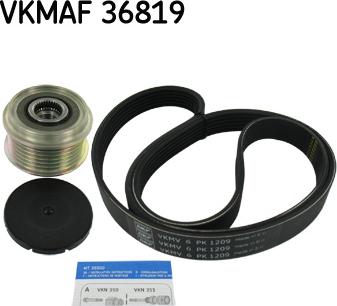 SKF VKMAF 36819 - Jeu de courroies trapézoïdales à nervures droxauto.com