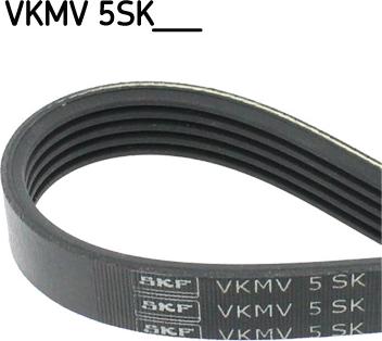 SKF VKMV 5SK595 - Courroie trapézoïdale à nervures droxauto.com
