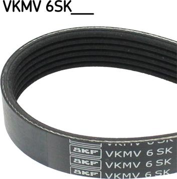 SKF VKMV 6SK1019 - Courroie trapézoïdale à nervures droxauto.com