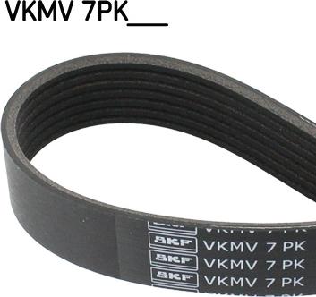 SKF VKMV 7PK1127 - Courroie trapézoïdale à nervures droxauto.com