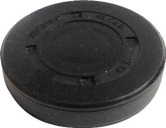 SKT 4TP-019-P - Bouchon, axe de culbuteurs-nez fileté droxauto.com