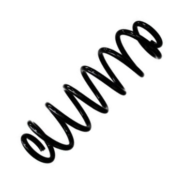 Spidan 87923 - Ressort de suspension droxauto.com