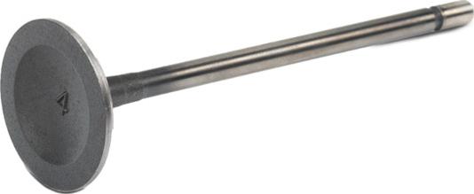 Stark SKINV-3270002 - Soupape d'admission droxauto.com