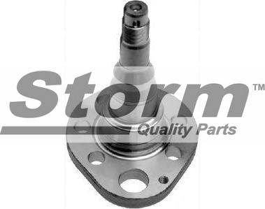 Storm F6049 - Fusée d'essieu, suspension de roue droxauto.com