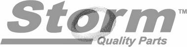 Storm F1605 - Kit d'assemblage, silencieux droxauto.com