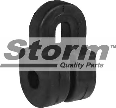 Storm F2005 - Support, silencieux droxauto.com