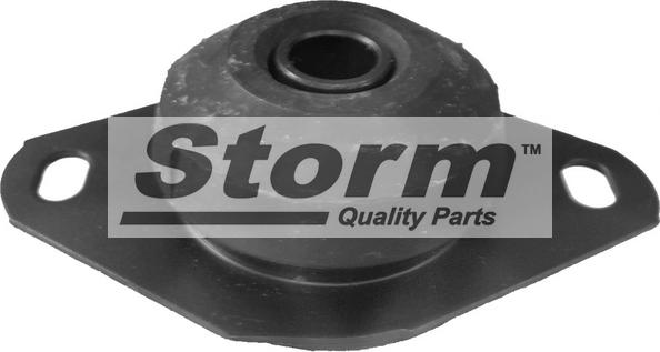 Storm F2017 - Support moteur droxauto.com