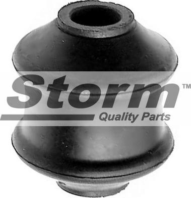 Storm F2842 - Suspension, bras de liaison droxauto.com