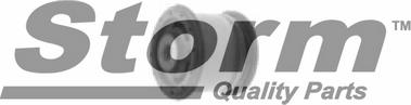 Storm F2289 - Suspension, corps de l'essieu droxauto.com