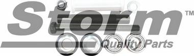 Storm F2220 - Suspension, bras de liaison droxauto.com