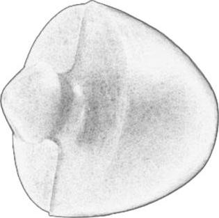 S-TR STR-1201246 - Butée élastique, suspension droxauto.com