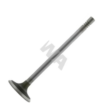 Swag 50 92 1805 - Soupape d'admission droxauto.com