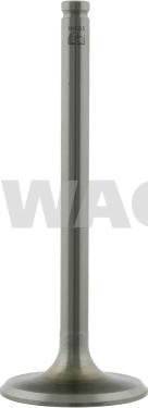 Swag 62 91 8665 - Soupape d'admission droxauto.com