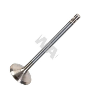 Swag 33 10 7698 - Soupape d'admission droxauto.com