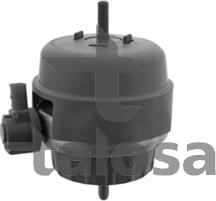 Talosa 61-16366 - Support moteur droxauto.com
