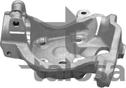 Talosa 79-01404R - Fusée d'essieu, suspension de roue droxauto.com