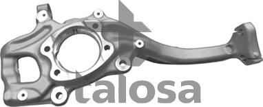 Talosa 79-01307L - Fusée d'essieu, suspension de roue droxauto.com