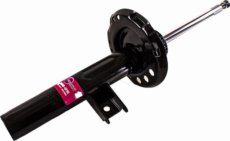 TASHIKO G99-815 - Amortisseur droxauto.com