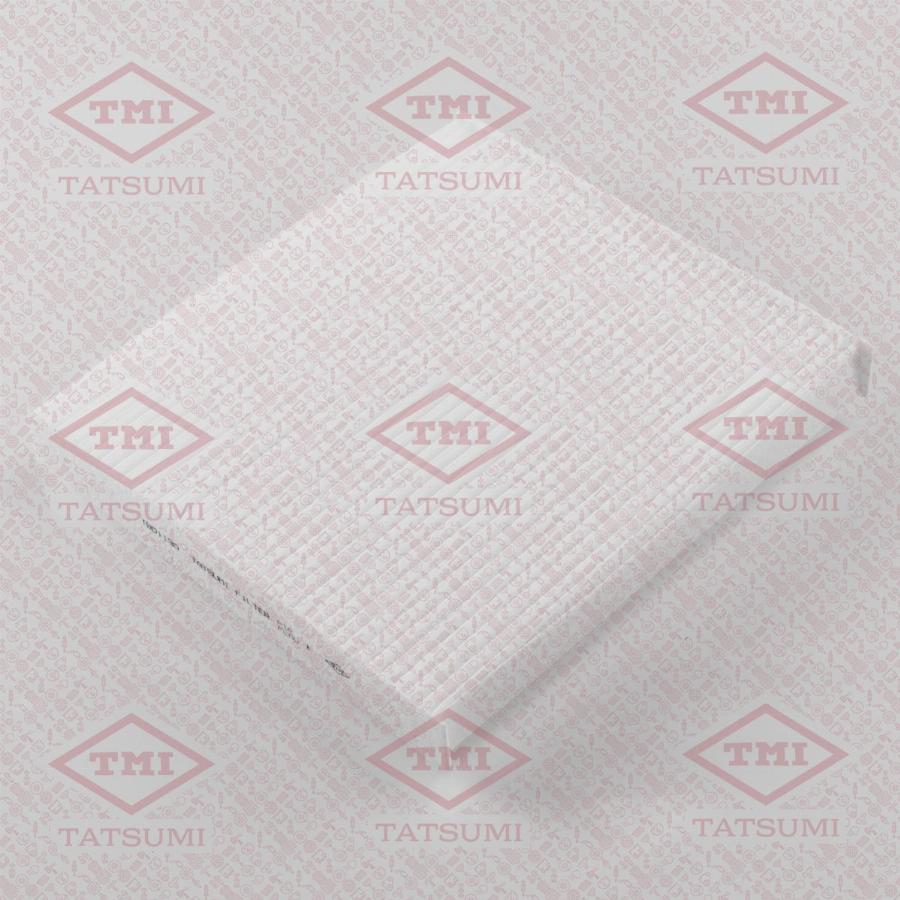 TATSUMI TBD1130 - Filtre à air droxauto.com