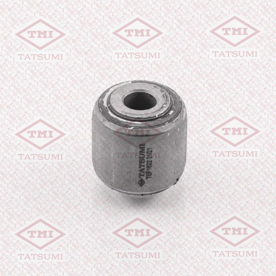 TATSUMI TEF1622 - Suspension, corps de l'essieu droxauto.com