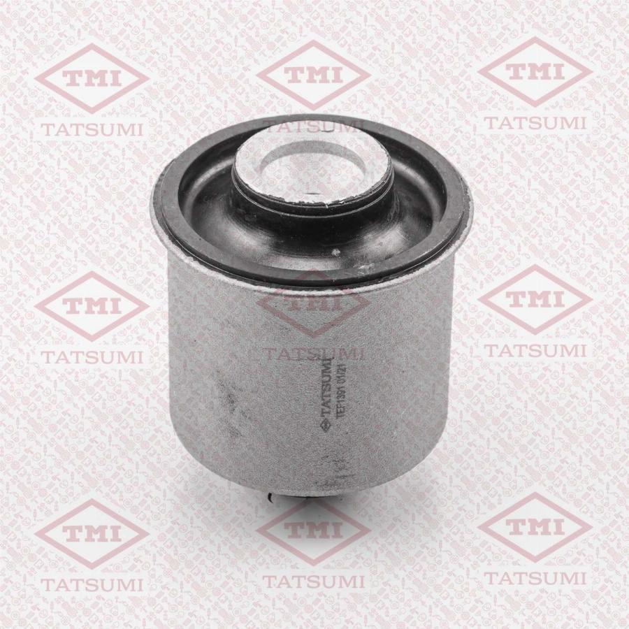 TATSUMI TEF1391 - Suspension, corps de l'essieu droxauto.com