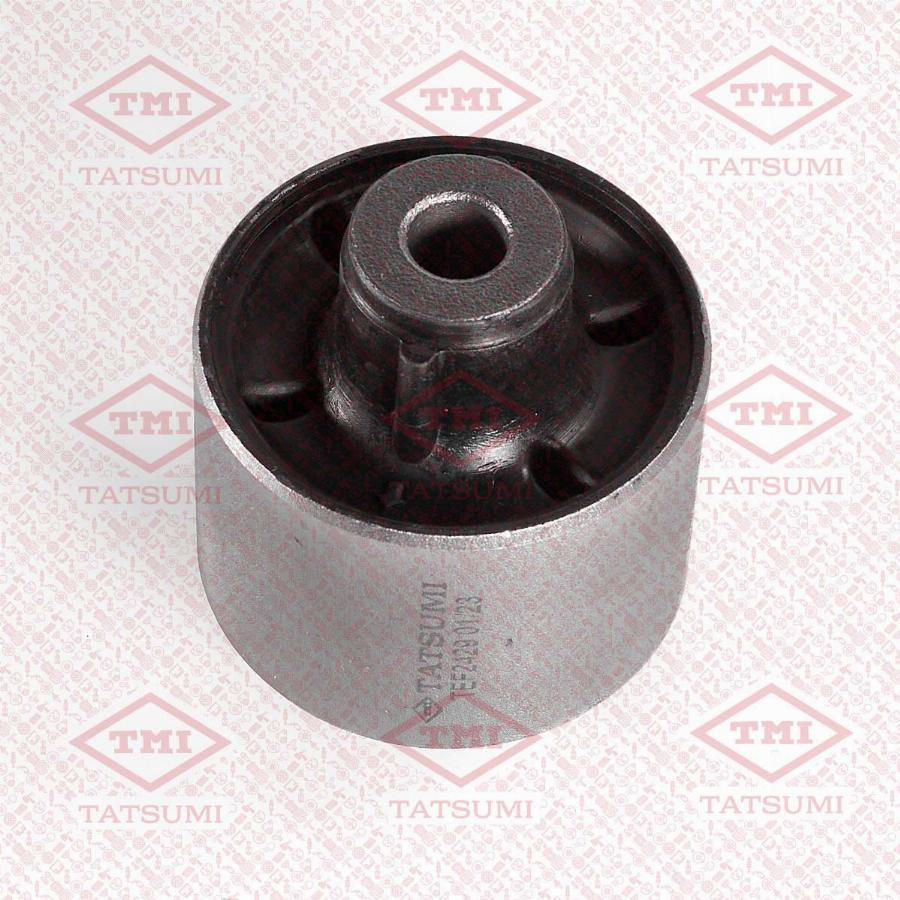 TATSUMI TEF2429 - Suspension, corps de l'essieu droxauto.com