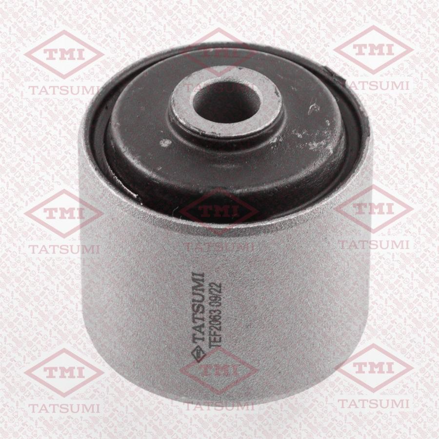 TATSUMI TEF2063 - Suspension, corps de l'essieu droxauto.com