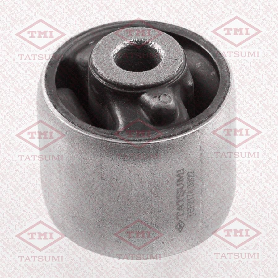 TATSUMI TEF2174 - Suspension, corps de l'essieu droxauto.com