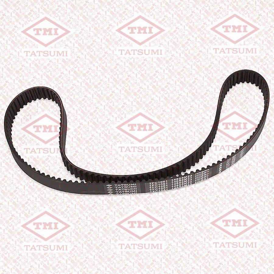 TATSUMI TFC1061 - Tendeur de courroie, courroie de distribution droxauto.com