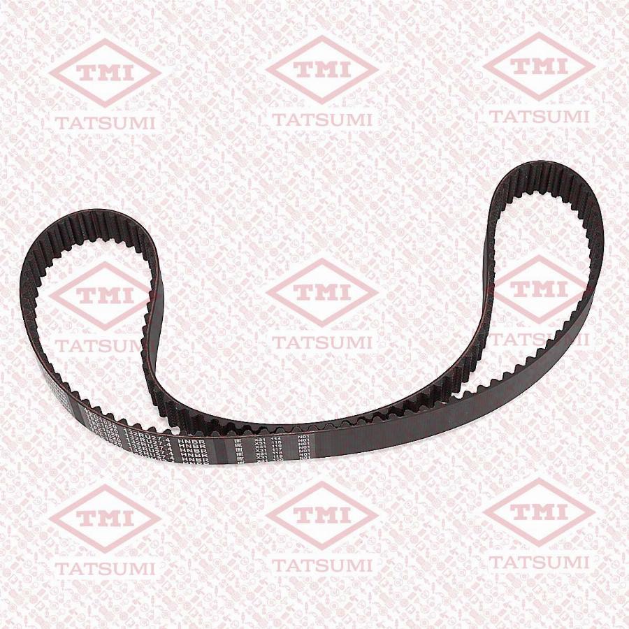 TATSUMI TFC1020 - Tendeur de courroie, courroie de distribution droxauto.com