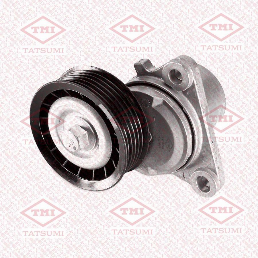 TATSUMI TFD1057 - Tendeur de courroie, courroie trapézoïdale à nervures droxauto.com