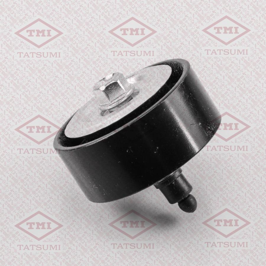 TATSUMI TFD1194 - Poulie-tendeur, courroie de distribution droxauto.com