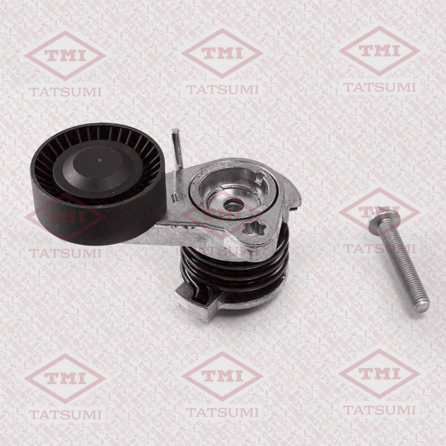 TATSUMI TFD1364 - Tendeur de courroie, courroie trapézoïdale à nervures droxauto.com