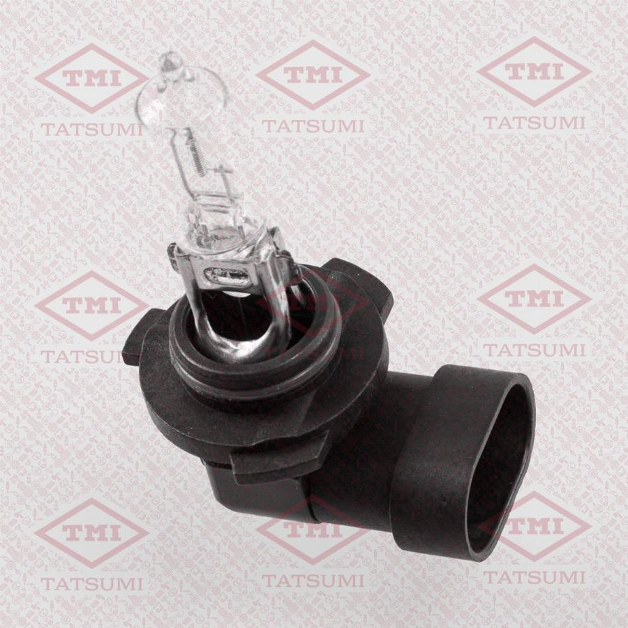 TATSUMI TFN1001 - Ampoule, projecteur longue portée droxauto.com