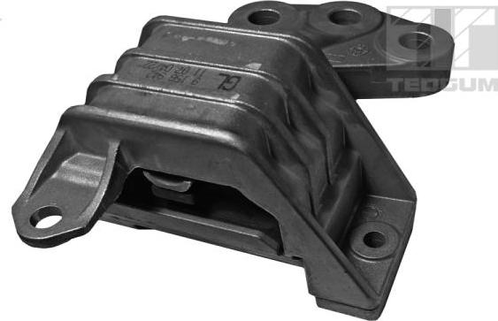 Tedgum 00507909 - Support moteur droxauto.com