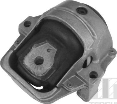Tedgum 00058583 - Support moteur droxauto.com