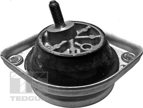 Tedgum 00089801 - Support moteur droxauto.com
