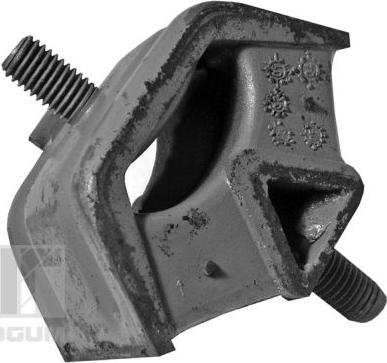 Tedgum 00080577 - Support moteur droxauto.com