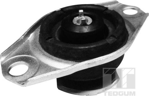 Tedgum 00025995 - Support moteur droxauto.com