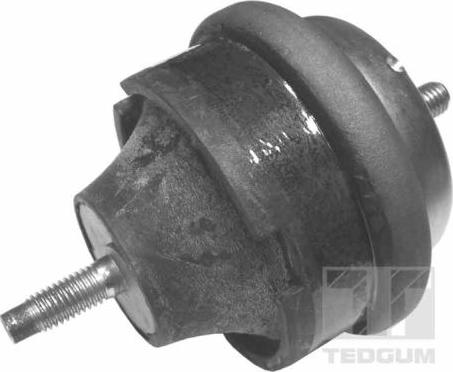 Tedgum 00145015 - Support moteur droxauto.com
