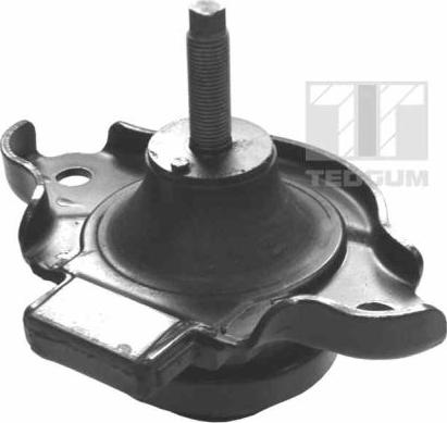 Tedgum 00264810 - Support moteur droxauto.com