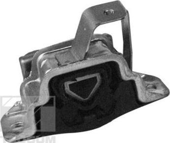 Tedgum 00219490 - Support moteur droxauto.com