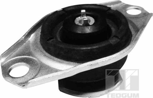 Tedgum 00215996 - Support moteur droxauto.com