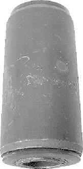 Tedgum 00213247 - Suspension, ressort à lames droxauto.com