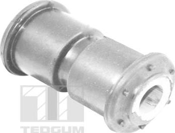 Tedgum 00212848 - Suspension, ressort à lames droxauto.com