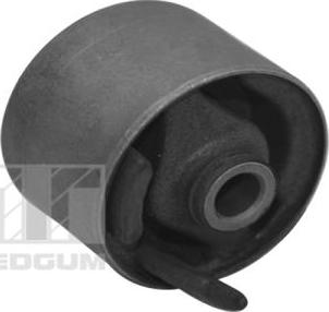 Tedgum 00220525 - Support moteur droxauto.com